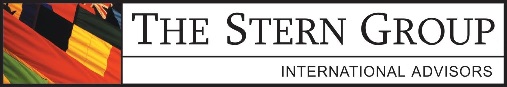 The Stern Group Logo